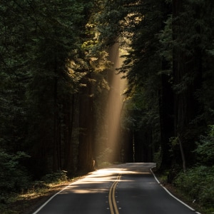 Se préparer au jour d'après